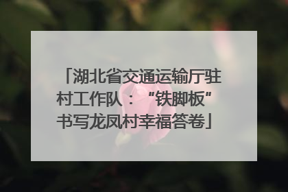 湖北省交通运输厅驻村工作队：“铁脚板”书写龙凤村幸福答卷