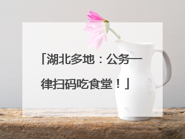 湖北多地：公务一律扫码吃食堂！