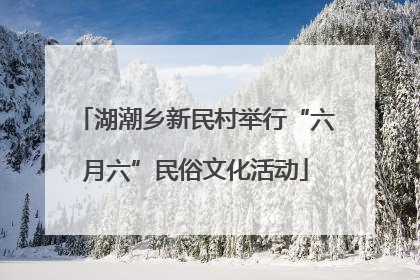 湖潮乡新民村举行“六月六”民俗文化活动
