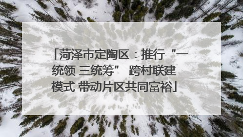 菏泽市定陶区：推行“一统领 三统筹” 跨村联建模式 带动片区共同富裕