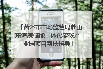 菏泽市市场监管局赴山东海辰储能一体化零碳产业园项目帮扶指导