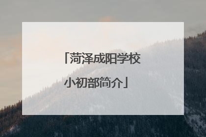 菏泽成阳学校小初部简介