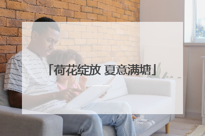 荷花绽放 夏意满塘