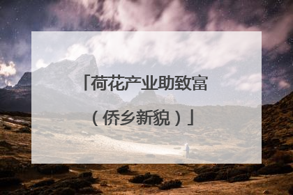 荷花产业助致富（侨乡新貌）