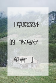 草原深处的“候鸟守望者”