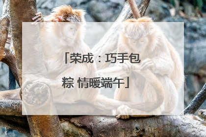 荣成：巧手包粽 情暖端午