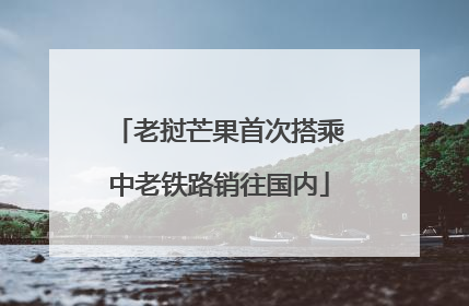 老挝芒果首次搭乘中老铁路销往国内