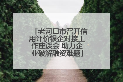 老河口市召开信用评价银企对接工作座谈会 助力企业破解融资难题