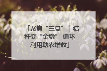 聚焦“三夏”｜秸秆变“金墩” 循环利用助农增收