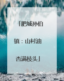 肥城孙伯镇：山村油杏满枝头
