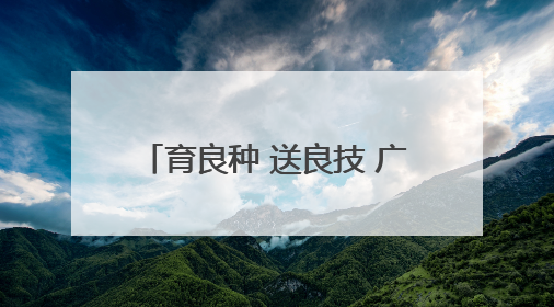 育良种 送良技 广元旺苍稻田插秧忙