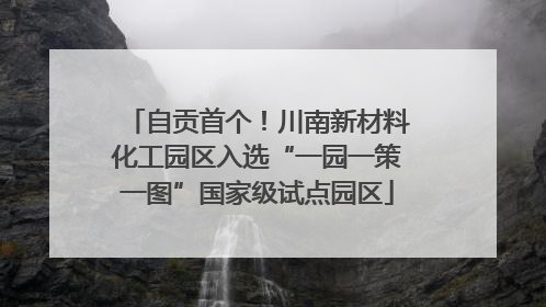 自贡首个！川南新材料化工园区入选“一园一策一图”国家级试点园区