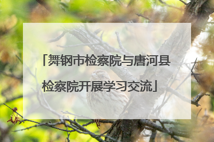 舞钢市检察院与唐河县检察院开展学习交流