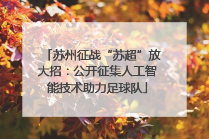 苏州征战“苏超”放大招：公开征集人工智能技术助力足球队