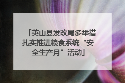 英山县发改局多举措扎实推进粮食系统“安全生产月”活动