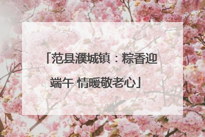 范县濮城镇：粽香迎端午 情暖敬老心