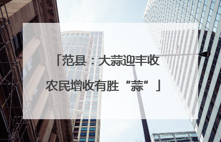 范县：大蒜迎丰收 农民增收有胜“蒜”
