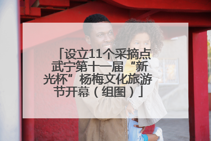 设立11个采摘点 武宁第十一届“新光杯”杨梅文化旅游节开幕（组图）