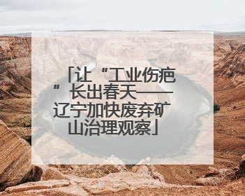 让“工业伤疤”长出春天——辽宁加快废弃矿山治理观察