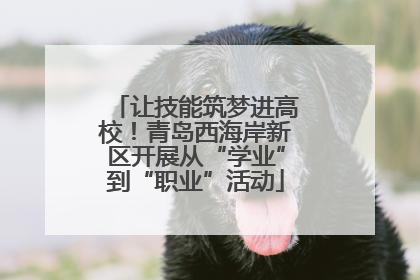 让技能筑梦进高校！青岛西海岸新区开展从“学业”到“职业”活动