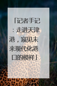记者手记：走进天津港，窥见未来现代化港口的模样