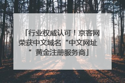行业权威认可！京客网荣获中文域名“中文网址”黄金注册服务商