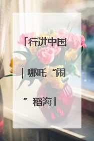 行进中国｜哪吒“闹”稻海