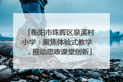 衡阳市珠晖区泉溪村小学：聚焦体验式教学，推动思政课堂创新