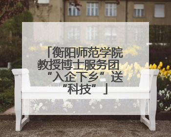 衡阳师范学院教授博士服务团“入企下乡”送“科技”