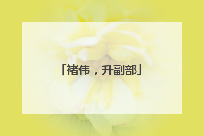 褚伟，升副部