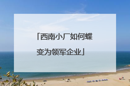 西南小厂如何蝶变为领军企业