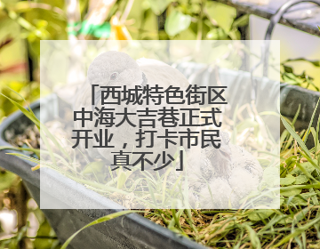 西城特色街区中海大吉巷正式开业，打卡市民真不少
