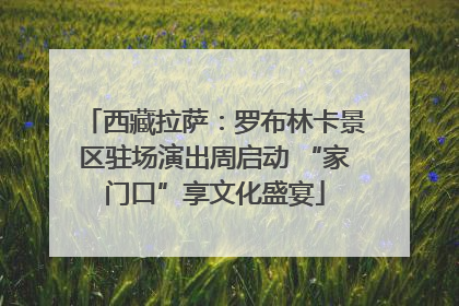 西藏拉萨：罗布林卡景区驻场演出周启动 “家门口”享文化盛宴