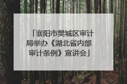 襄阳市樊城区审计局举办《湖北省内部审计条例》宣讲会