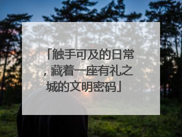 触手可及的日常，藏着一座有礼之城的文明密码