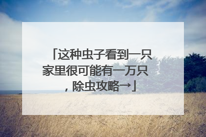 这种虫子看到一只家里很可能有一万只，除虫攻略→