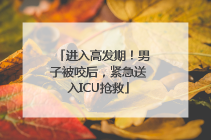 进入高发期！男子被咬后，紧急送入ICU抢救