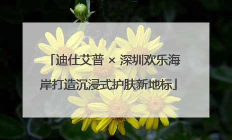 迪仕艾普 × 深圳欢乐海岸打造沉浸式护肤新地标