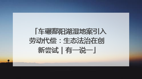 车碾鄱阳湖湿地案引入劳动代偿：生态法治在创新尝试｜有一说一