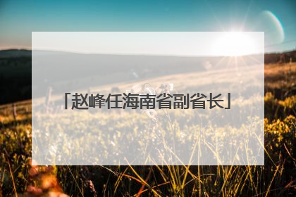 赵峰任海南省副省长