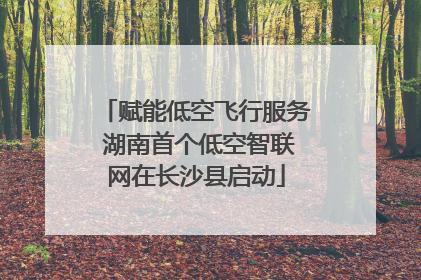 赋能低空飞行服务 湖南首个低空智联网在长沙县启动