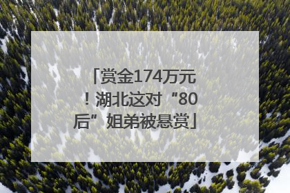 赏金174万元！湖北这对“80后”姐弟被悬赏