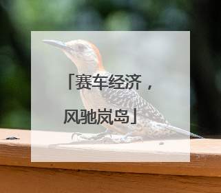 赛车经济，风驰岚岛