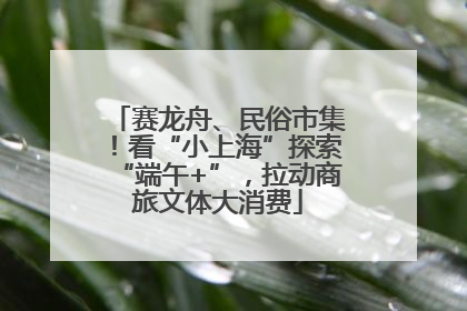 赛龙舟、民俗市集！看“小上海”探索“端午+”，拉动商旅文体大消费