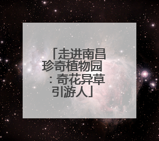 走进南昌珍奇植物园：奇花异草引游人