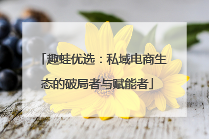 趣蛙优选：私域电商生态的破局者与赋能者