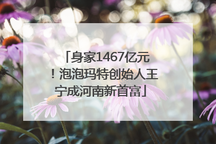 身家1467亿元！泡泡玛特创始人王宁成河南新首富