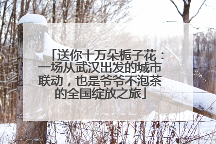 送你十万朵栀子花：一场从武汉出发的城市联动，也是爷爷不泡茶的全国绽放之旅