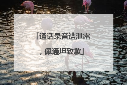 通话录音遭泄露，佩通坦致歉