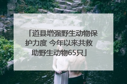 道县增强野生动物保护力度 今年以来共救助野生动物65只